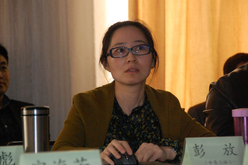 大连海事大学校办副主任彭放针对高等教育发展战略、双一流建设等专题，结合大连海事大学具体工作，作了大连海事大学发展方略及行动的主题发言。她简要介绍了大连海事大学在国家“四个全面”战略布局指引下，全面深化综合改革、全面推进依法治校、全面落实从严治党等方面的谋划和行动探索。从师资队伍、人才培养、学科布局、科技创新、办学条件、国际影响方面，详细介绍了争创“六个一流”的初步方案，开展的工作及相关实践思考。