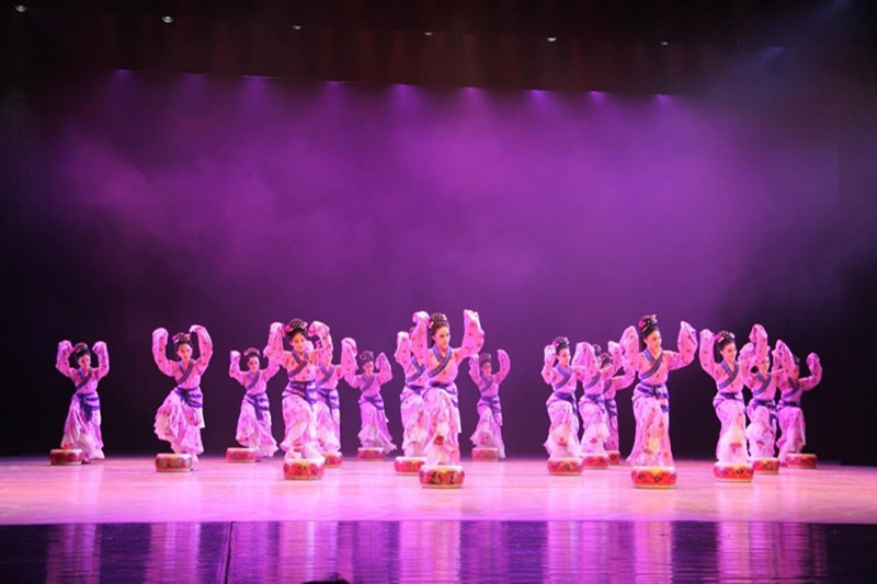 整场演出涵盖数十台传统剧目与新创剧目，北京舞蹈学院的学生和青年舞团舞蹈家们向大家展示了优美的舞姿、扎实的基本功、高水平的专业素养，为学员们奉献了一场精美的高雅文化盛宴。通过现场教学，使学员们在享受了视觉盛宴的同时，领会了北京舞蹈学院坚持高层次的文化追求、坚持高质量的人才培养、坚持高水平的普及教育的办学目标以及学子的修养与高超的专业水准，开拓了艺术视野，对艺术专业的教育教学有了更直观的了解。（图文：浙江农业商贸职业学院组织人事处处长王伟杰；统稿人：李永贤）