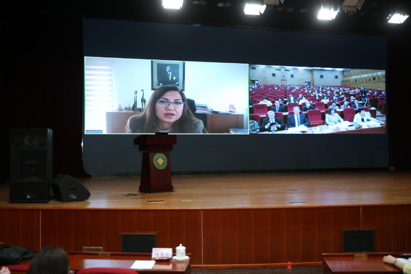 土耳其中东科技大学副校长图林·根茨（Tülin Gençöz）线上做主旨发言。